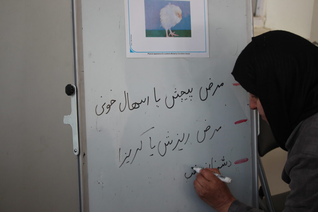 last day of backyard poultry training and certificate award ceremony in farza district on february 19, 2024 (42)